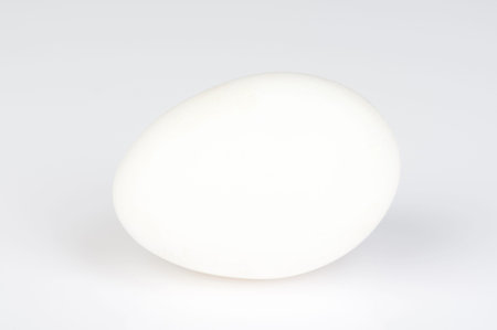 One white egg above top view isolated