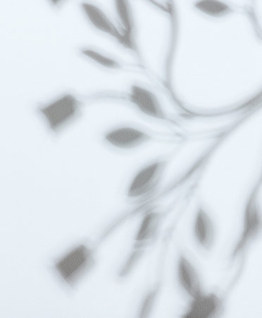 Shadow of abstract shapes on white wall background
