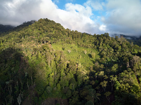 Green mountain peak on bright sunny morning aerial drone view