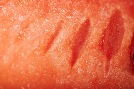 Red watermelon juicy fruit macro close up viewの写真素材