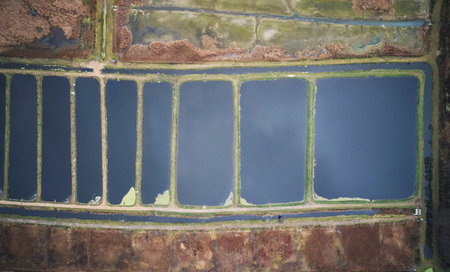Water ponds reservoir for fish above drone view