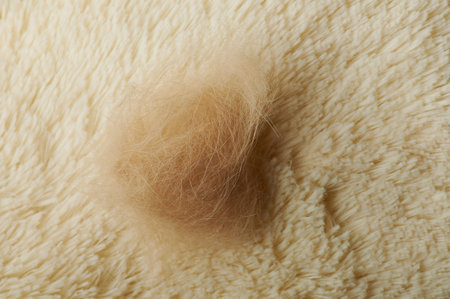 Macro view of dog fur lay on home carpet background