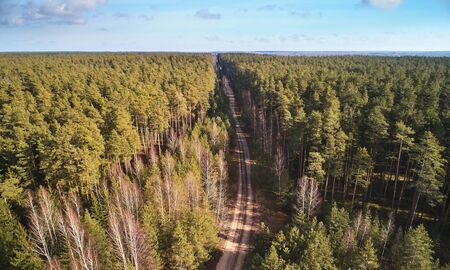 Dirty road lane in middle of forest above top viewの写真素材