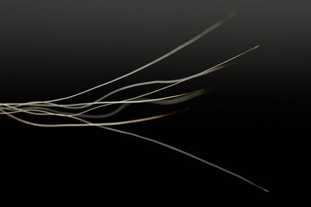 White curly hair ends close up view isolated on gradient background