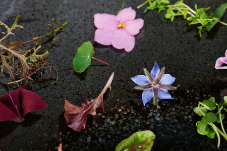 Decorative greenery plants and flower on black plate close up view