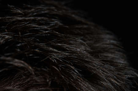 Short straight dark hair background macro close up viewの写真素材