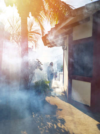 Man doing insect disinfection service. Killing pest with toxic fogの写真素材