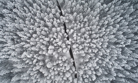 Road among winter forest above top drone view. Snowy landscape