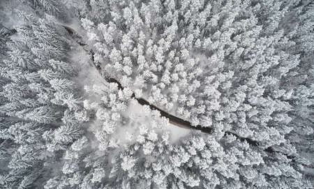 Winter path in forest above top drone view. Cold weather themeの写真素材