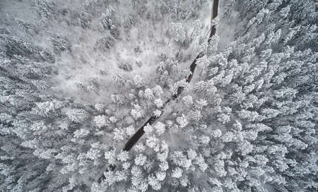 Curve shape rural road in winter landscape above top drone viewの写真素材