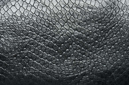 Black crocodile leather skin texture background macro close up viewの写真素材