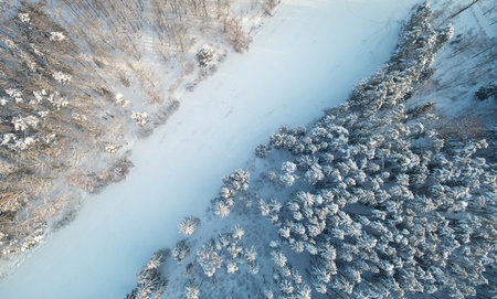 Frozen river in middle of forest aerial above drone viewの写真素材