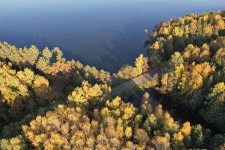 Empty road in forest autumn with lake aerial above top viewの写真素材