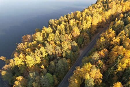 Rural road in orange color forest aerial above top viewの写真素材