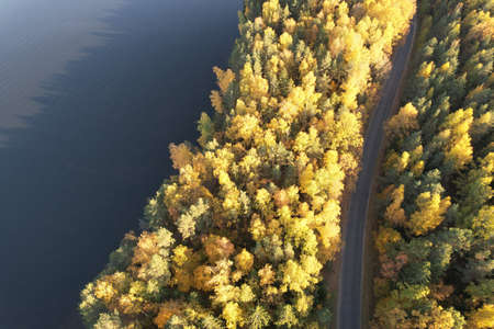 Small empty road in yellow autumn forest above top viewの写真素材