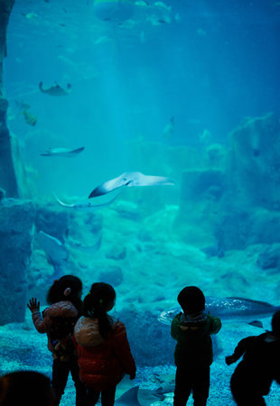 Kids watching fishes in big aquarium. kids enjoying time in zooの写真素材