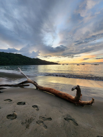 Beautiful sunset on tropical bay beach with wooden logの写真素材