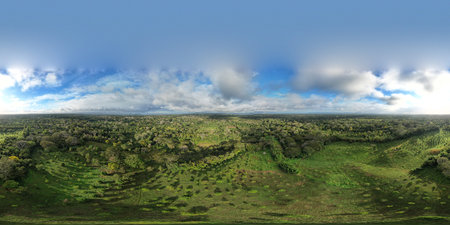 Avocado plantation farm 360 vr front view in tropical climate background