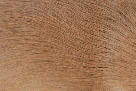 Brown wavy animal hair fur background macro close up view