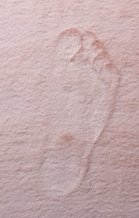 Human step trace on fluffy pink carpet above top viewの写真素材