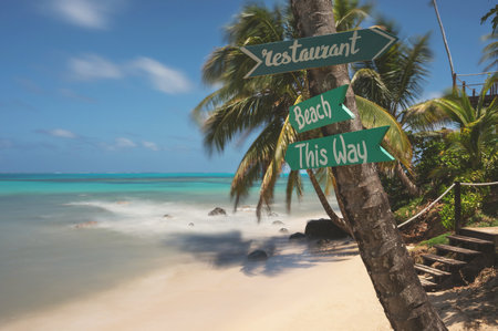 Restaurant sign arrow on palm tree in blue sea and sky backgroundの写真素材