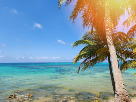 Blue sea water on palm beach background on bright sunny dayの写真素材