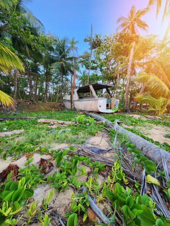 Shipwreck on island shore green natural backgroundの写真素材