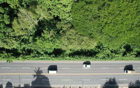 Car moves on asphalt road next to jungle aerial drone top viewの写真素材