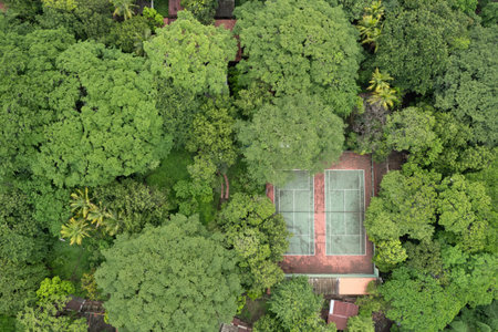 Two empty tenis courts aerial view surround with green oark treeの写真素材