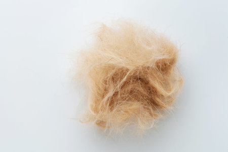 Pet hair brown ball macro close up view isolatedの写真素材
