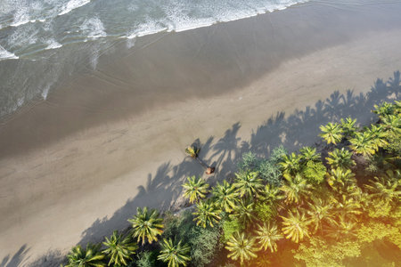 Exotic tropical beach with wet sand and small sea waves aerial drone viewの写真素材
