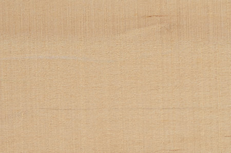Beige color wood fiber  background macro close up viewの写真素材