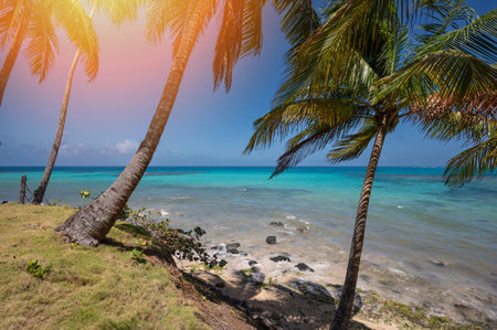 Caribbean blue sea background. Tropical coastline in islandの写真素材
