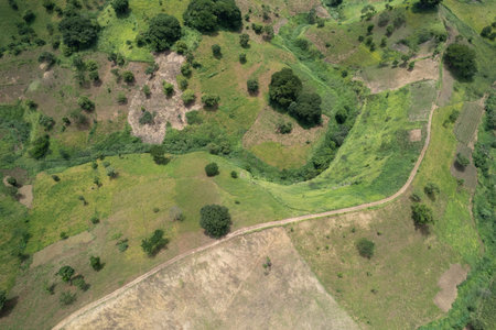 Green fileds for agriculture  above top view on rural lalandscapeの写真素材