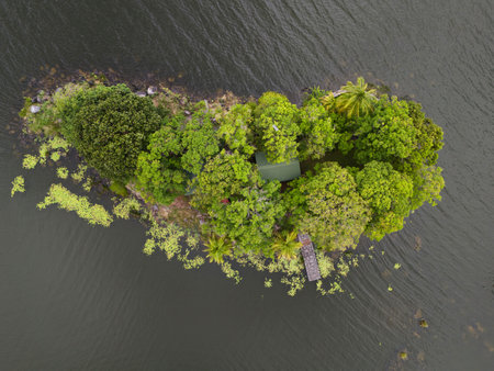Small green tropical island above top drone viewの写真素材