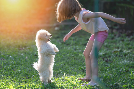 Girl kid play outside with poodle puppy on bright sunny day lightの写真素材