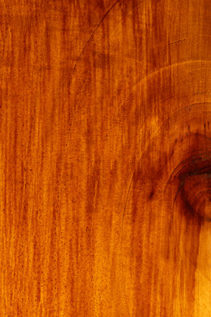 Abstract wooden texture material macro close up viewの写真素材