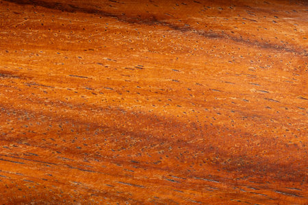 Structure of premium wood surface with black spots close up viewの写真素材
