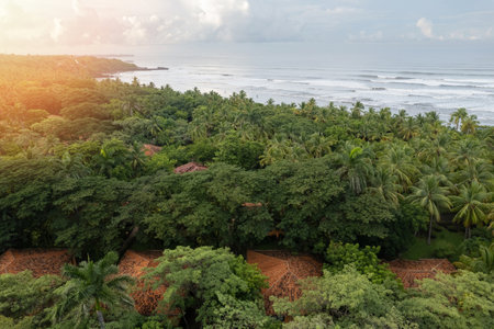 Brown tile roof villas among green palm trees next to beach aerial drone viewの写真素材