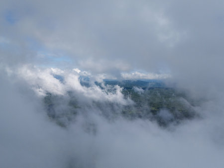 Thick mist envelops lush green forest below, creating serene and atmospheric scene in daylight.の写真素材