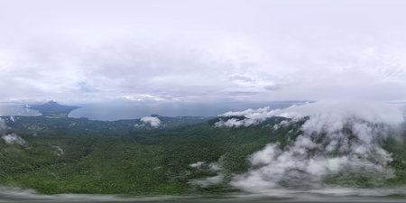 Green rainforest landscape on Ometepe island aerial 360 vr view