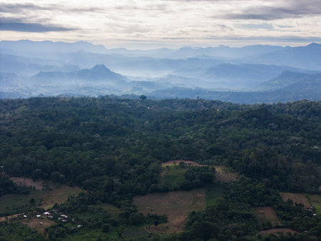 Breathtaking view of rolling hills covered in dense greenery under cloudy sky during early morning hours.の写真素材