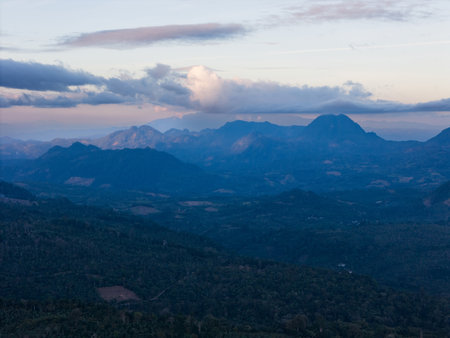 Tropical forest on mountain background valley on sunset lightの写真素材