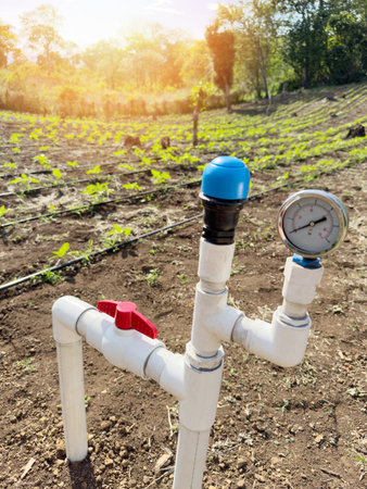 Water pump irrigation agriculture theme. Sunflower farm fieldの写真素材