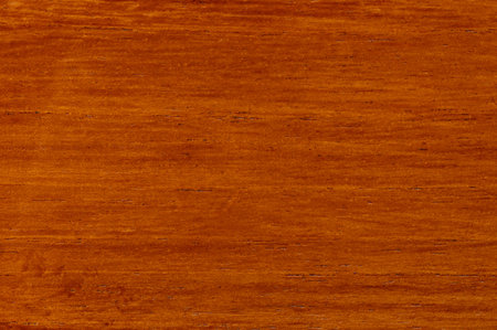 Clean brown wooden texture surface macro close up viewの写真素材
