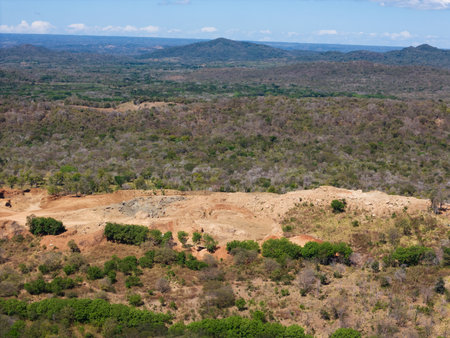 Expansive view of arid land with patches of trees and rocky sections under blue sky during daytime.の写真素材