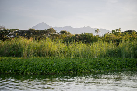 Green grasses and plants border a calm river reflecting twilight colors, with mountains rising in...