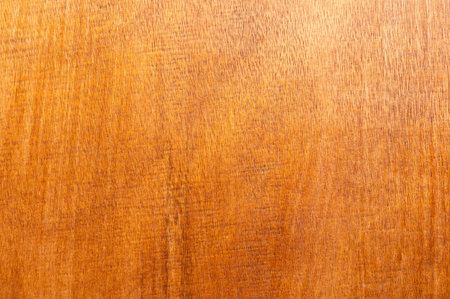 Smooth brown wooden texture background macro close up viewの写真素材