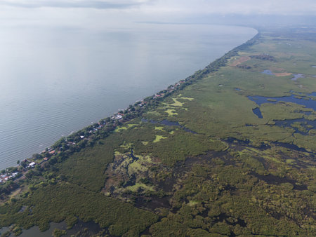 Expansive wetlands stretch alongside tranquil lake, showcasing lush greenery and winding shorelines under clear sky.の写真素材