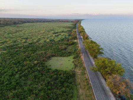 Peaceful road runs alongside calm body of water, surrounded by dense foliage and natural beauty during sunset.の写真素材